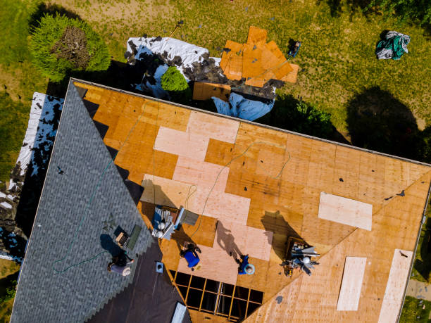 Best Roof Gutter Cleaning  in Langley, SC